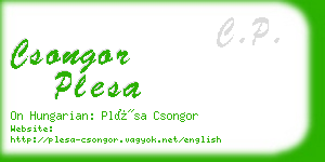 csongor plesa business card